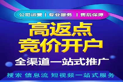 案例分析：打造高效竞价推广策略