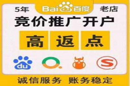 揭秘SEM竞价推广的五大成功策略及其实施细节